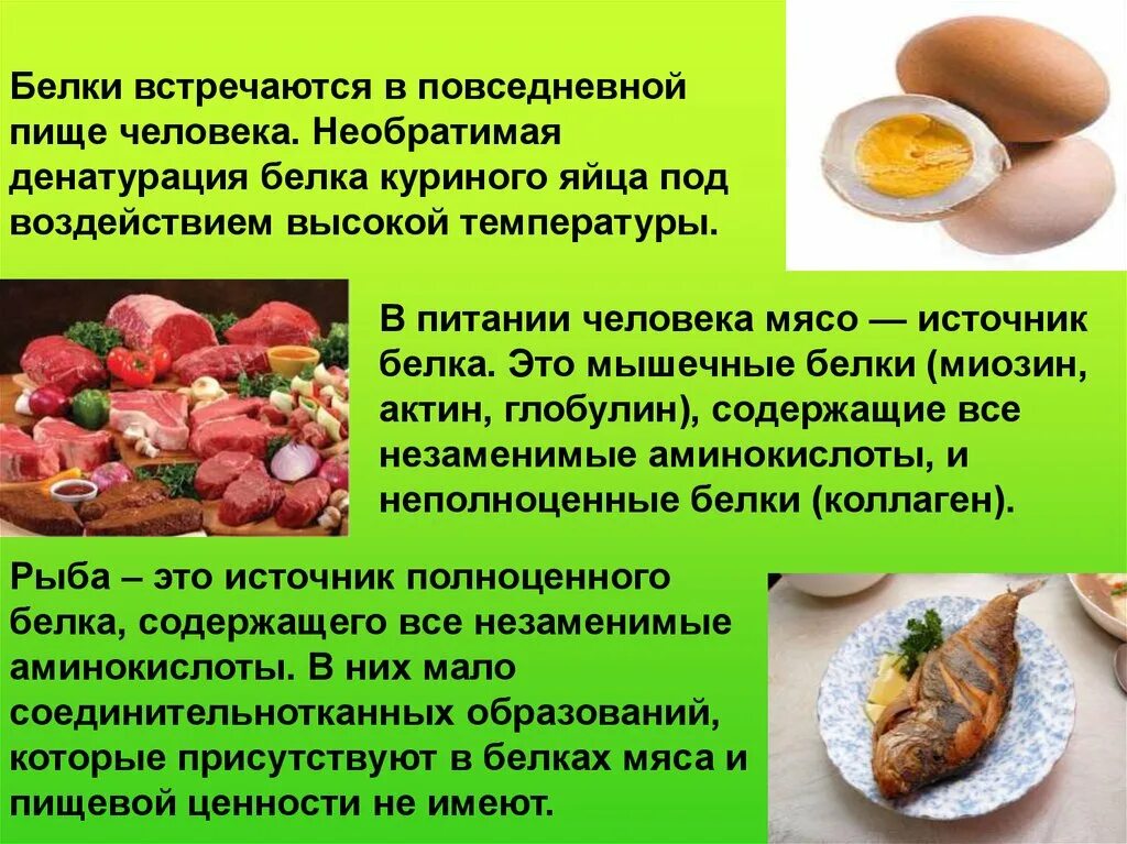 Человек белковый продукт. Белки в пище человека. Белок презентация. Презентация на тему белки жиры углеводы. Жиры в питании.