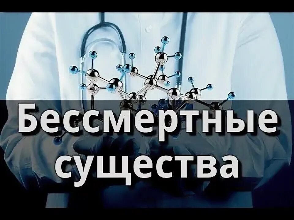 Какое существо бессмертно