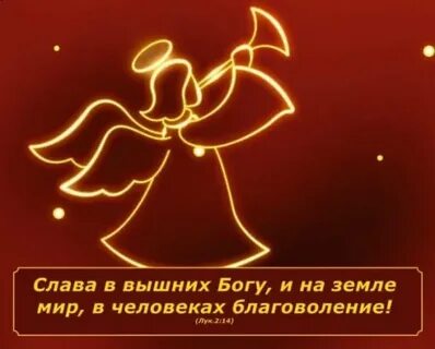 Вышних богу мир