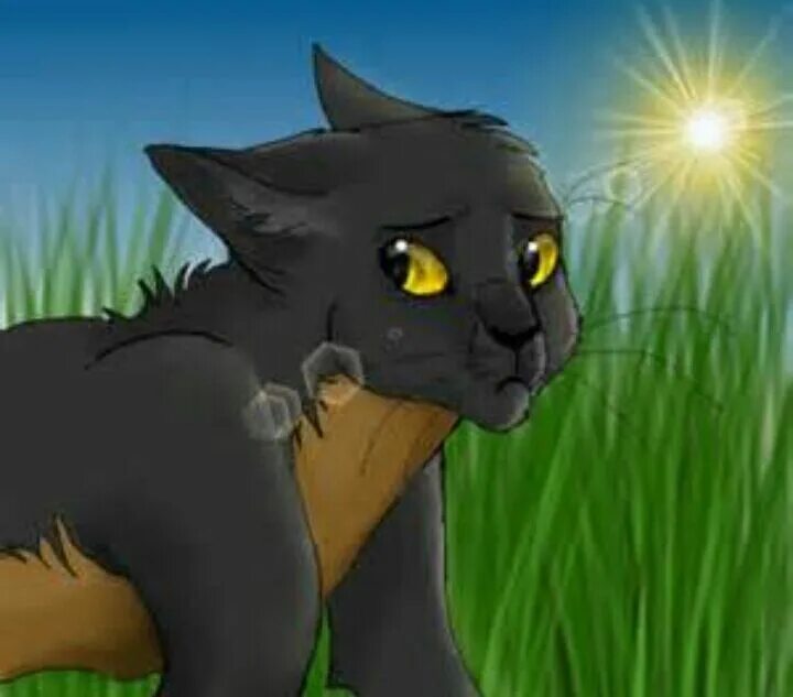 Мимоза коты воители. Коты воители целители. Коты воители огнезвёзд и песчаная. Коты воители львинозвёзд. Мимоза коты воители.