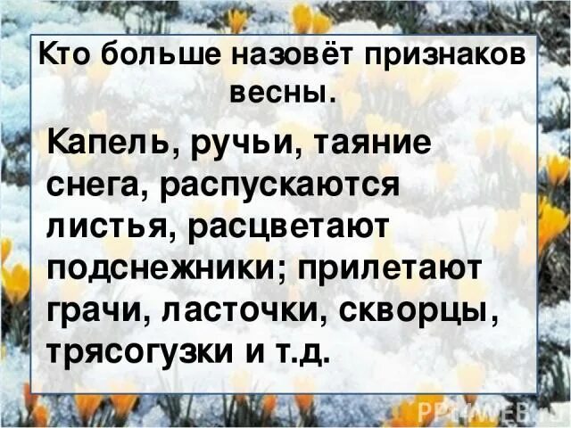 Предложение про весеннюю капель. Предложение про ручьи.