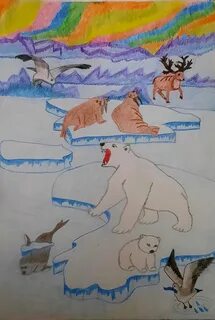 Рисунок на тему арктика 4 класс окружающий