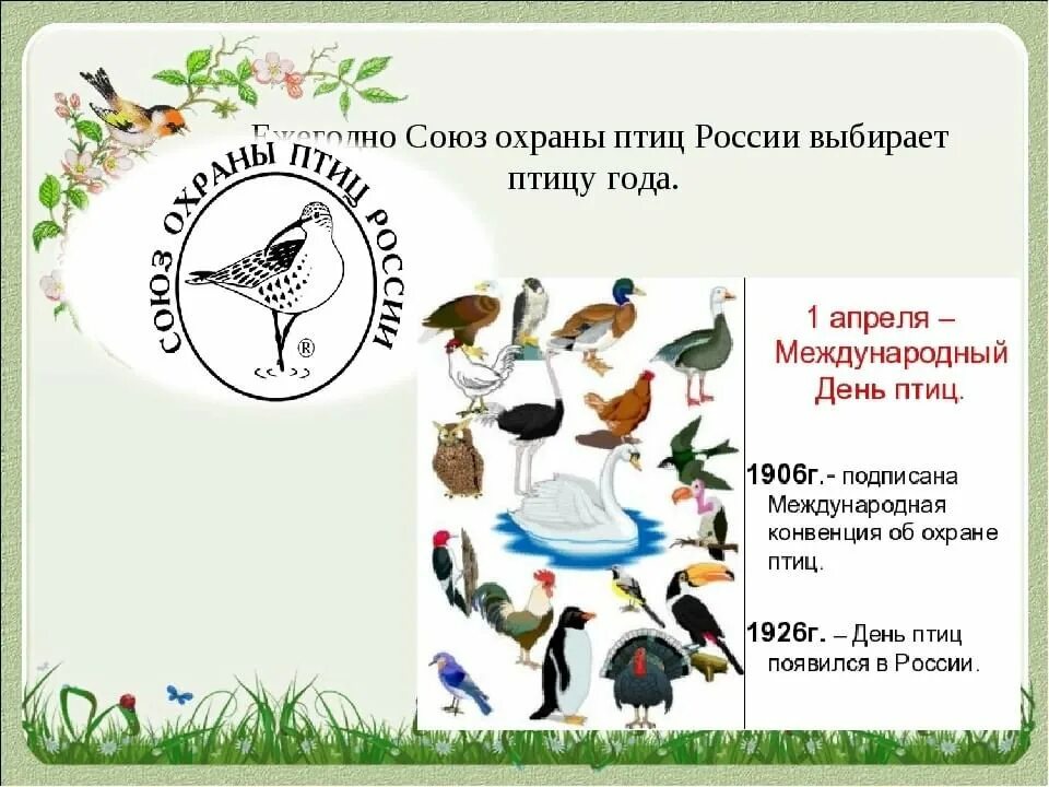 Какой символ апреля. День птиц. Охрана птиц в России. Всемирный день птиц. День охраны птиц.