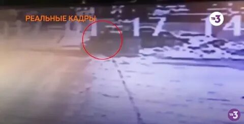 Спасла от похищения
