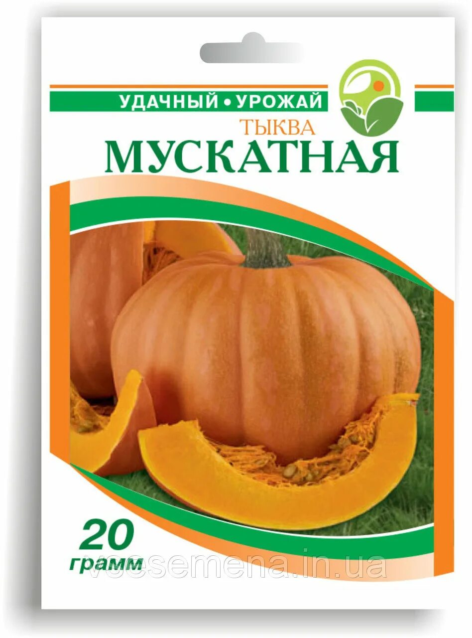 Тыква твердокорая грибовская. Тыква мускат де прованс. Тыква мускат описание. Мускат прованская тыква. Мускат прованская тыква.