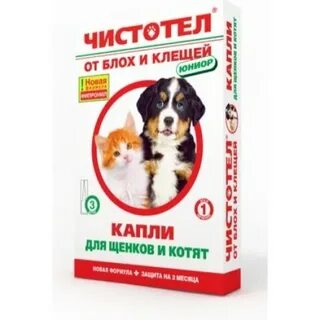 От блох и клещей для котят