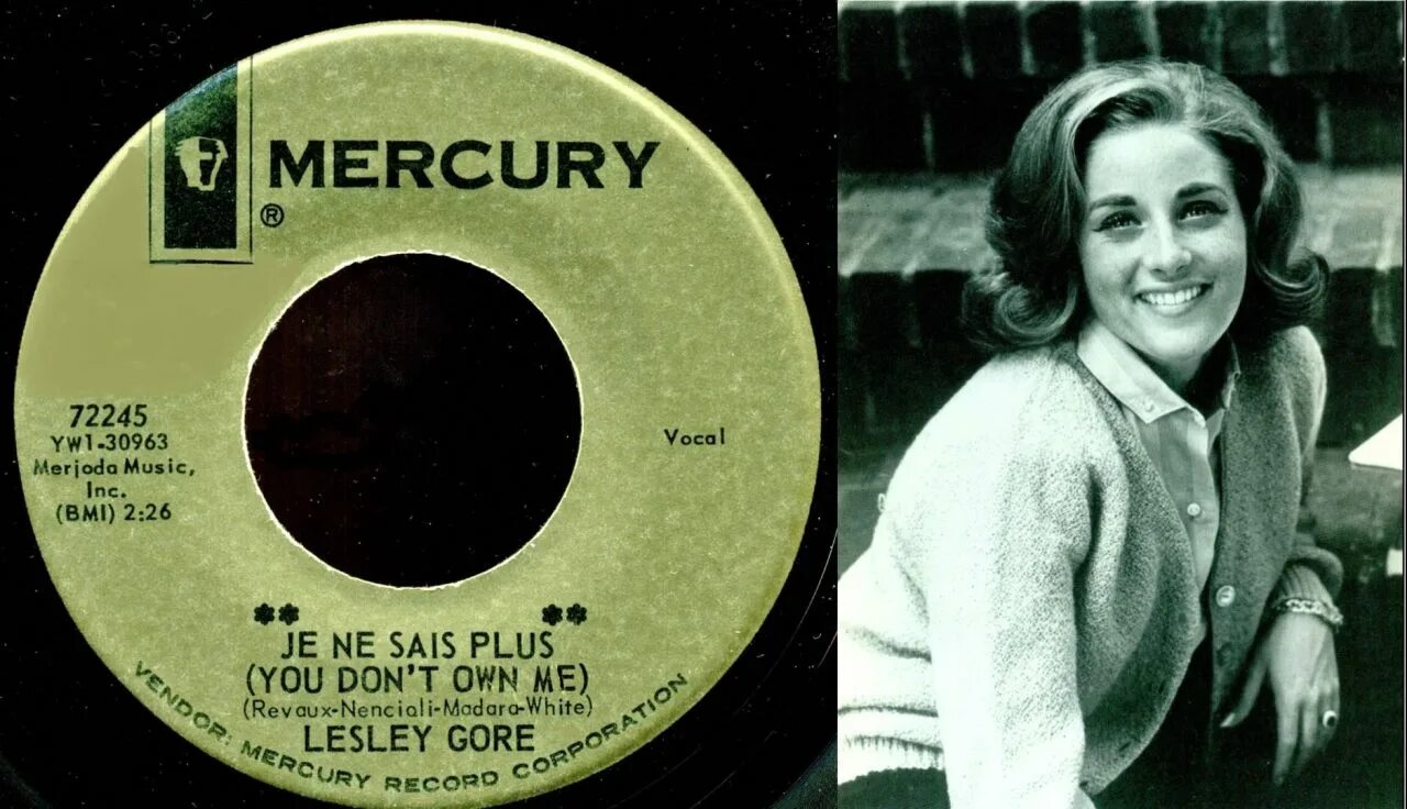 I don t own you перевод. Lesley gore – you don&#039;t own me (1963). лесли гор you don&#039;t own me. lesley gore you don&#039;t. lesley gore you don&#039;t own me обложка.