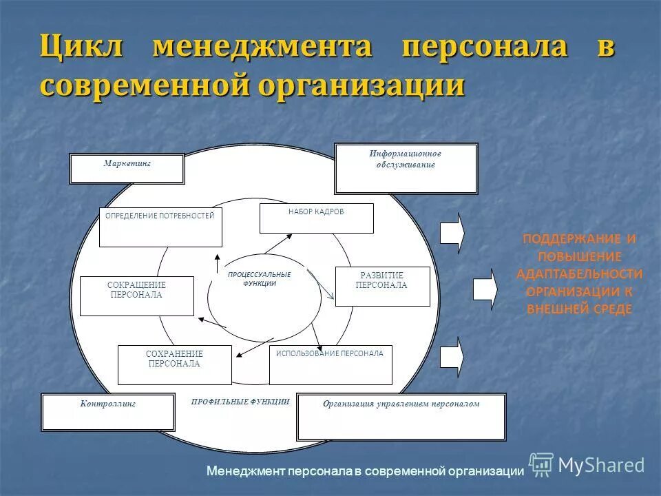 Программа для руководителей организаций лиц