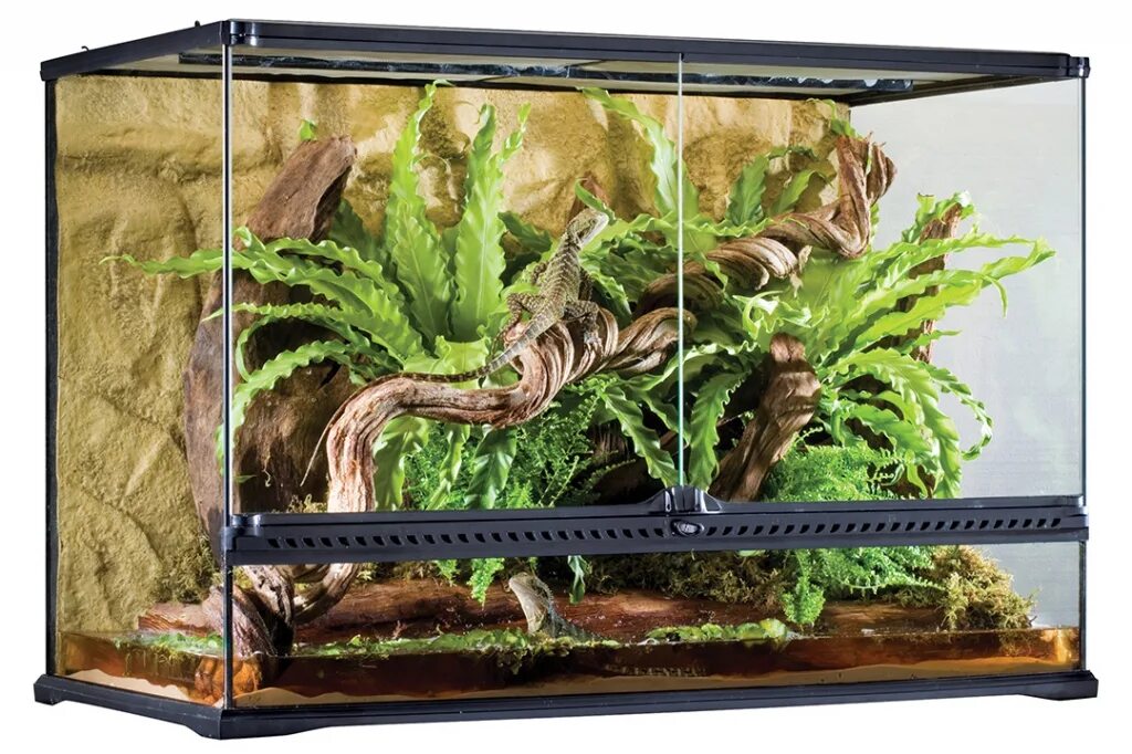Что такое террариум. Террариум EXO Terra 60x45x90. Террариум 90×45×90 EXO Terra. Террариум EXO Terra 60х45х45. EXO Terra террариум 90 45 45.