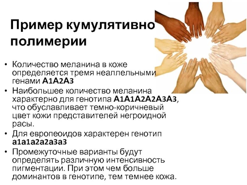 Меланин для чего