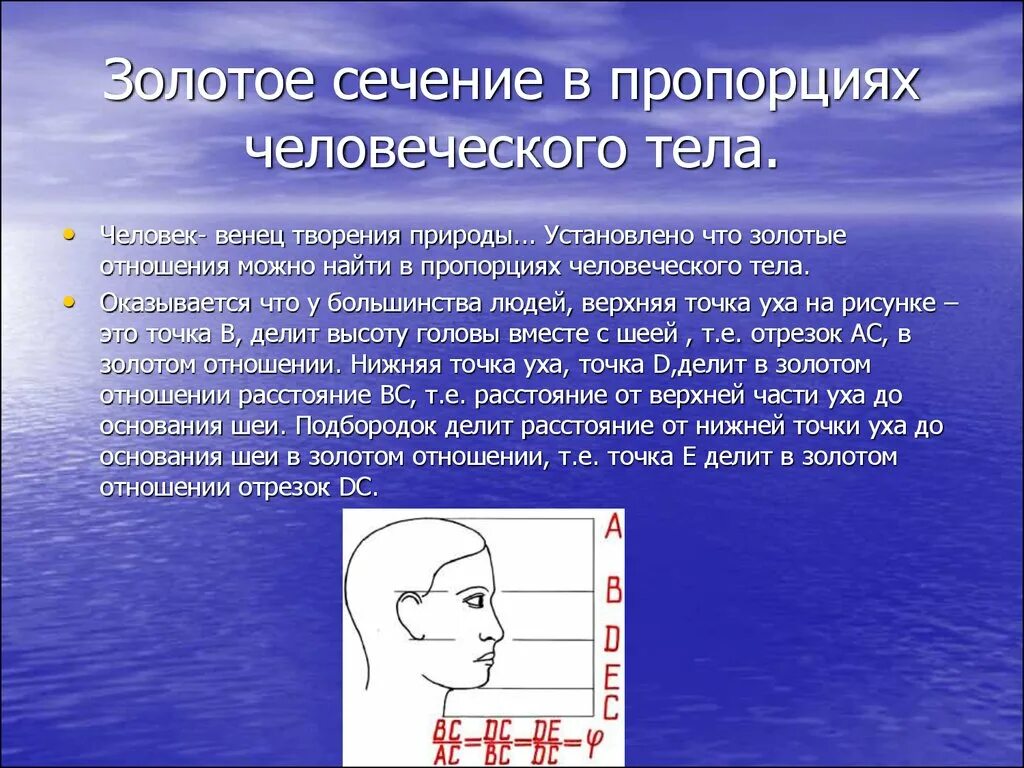 Человек венец творения. Золотое сечение пропорции. Золотое сечение в медицине кратко. Интересные пропорции человеческого тела. Отношение в золотом сечении