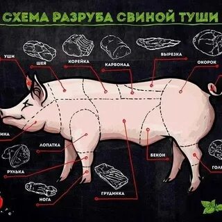 Мясо в туши