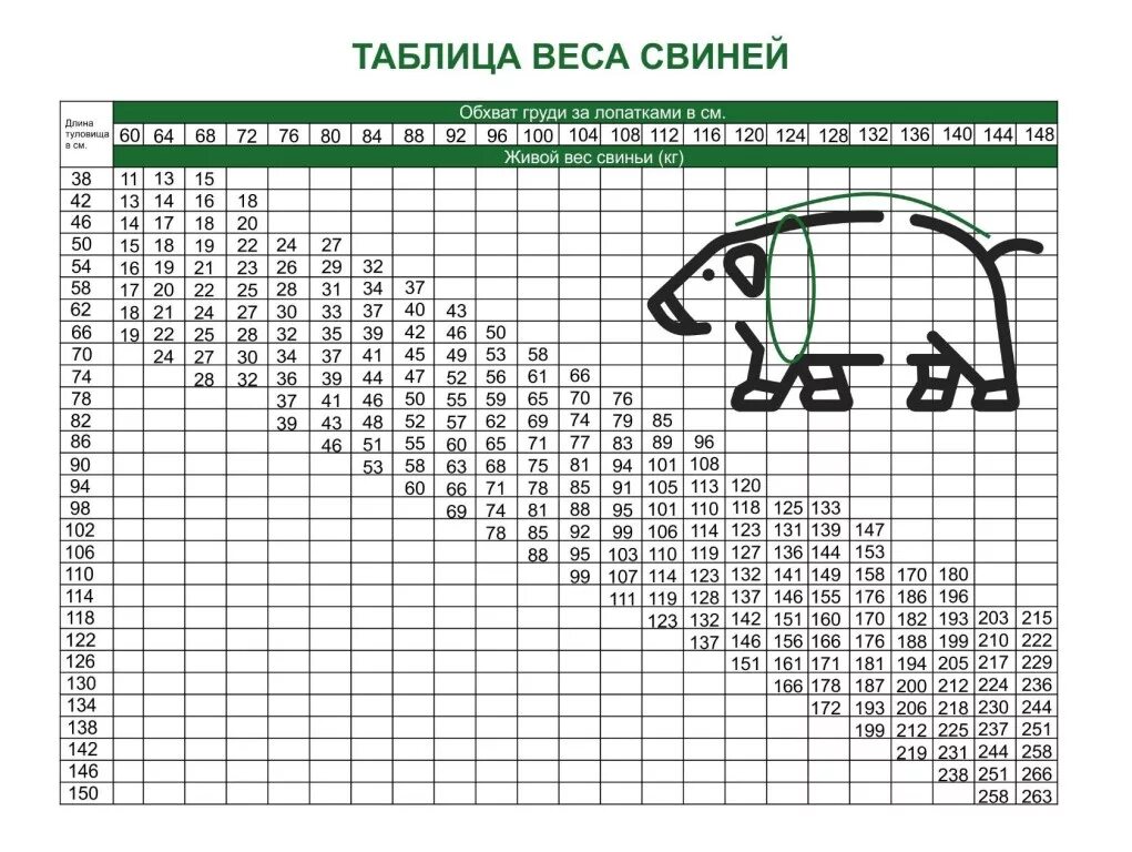 Таблица свиней живым весом. Таблица по определению веса свиней. Таблица замера свиней живым весом. Таблица замера поросят живым весом. Таблица измерения живого веса поросят.