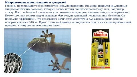 Чем склеить кость