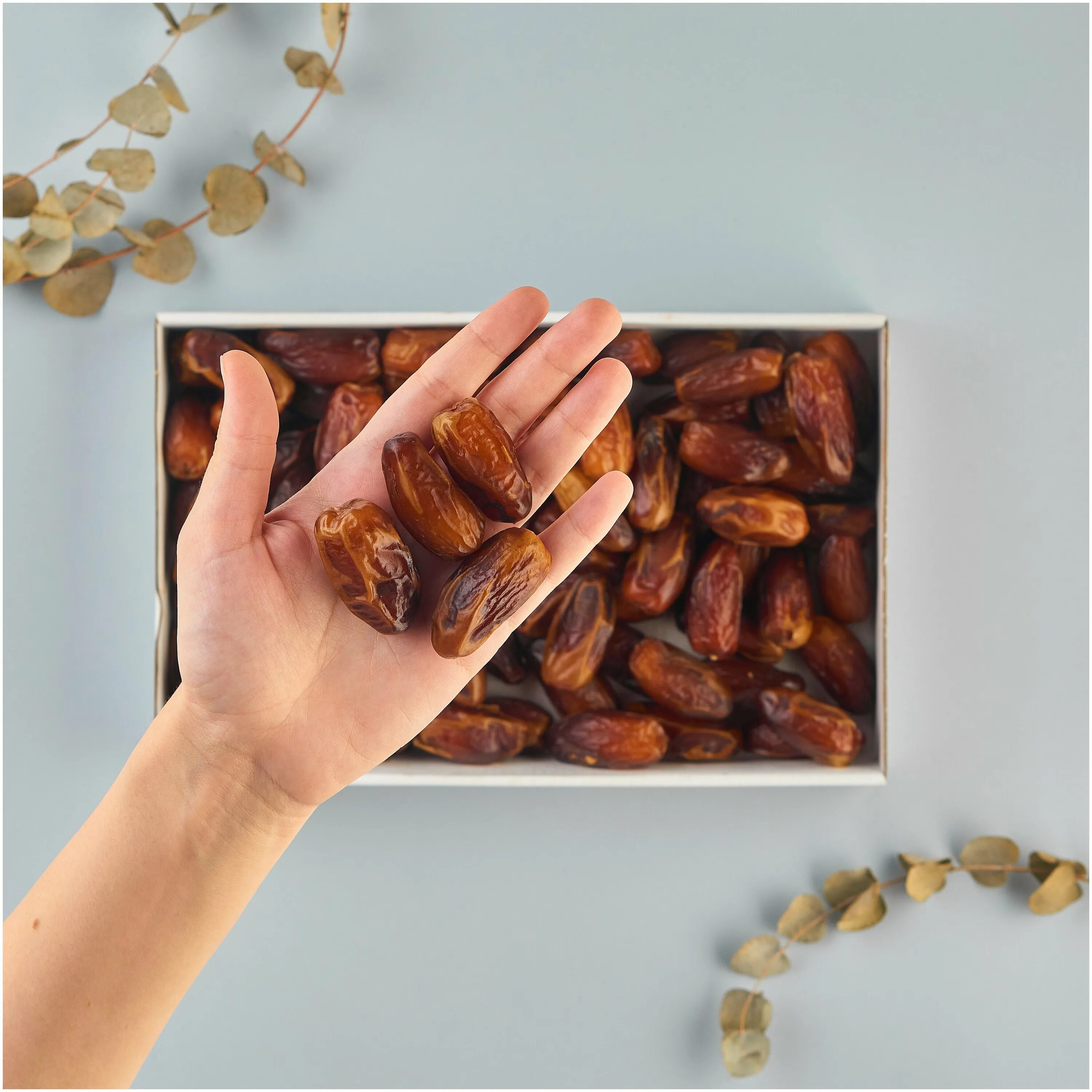 Финики алжир 500г. Почему финики в рамадан. Почему финики в рамадан. Финики рамадан 1кг. Фиников для рамазан.