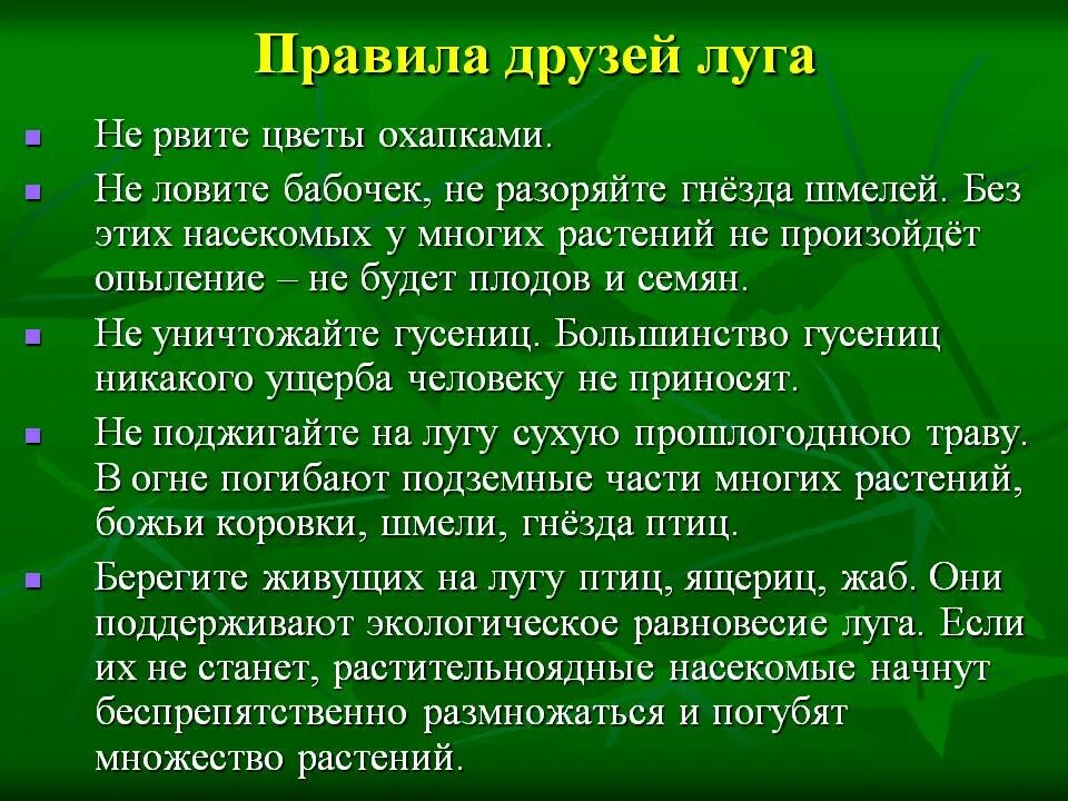 Правила друзей Луга. Правила поведения на Луге. Правилаповедениеналугу. Памятка поведения на лугу. Прогноз 3 луга