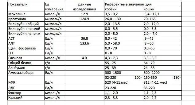 Норма сахара в крови у кошек показатели. Глюкоза биохимия крови норма. Уровень сахара в крови у собак норма. Уровень сахара в крови у кота норма. Норма сахара в крови у собак