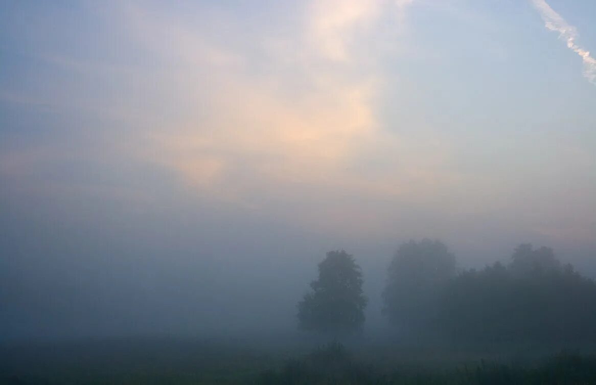 Серый туман. Дорога в тумане. Турсунтский туман. Fog jabberwocky. Навис туман.