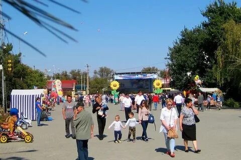 Погода г ипатово