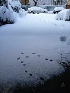 Передумал насчет