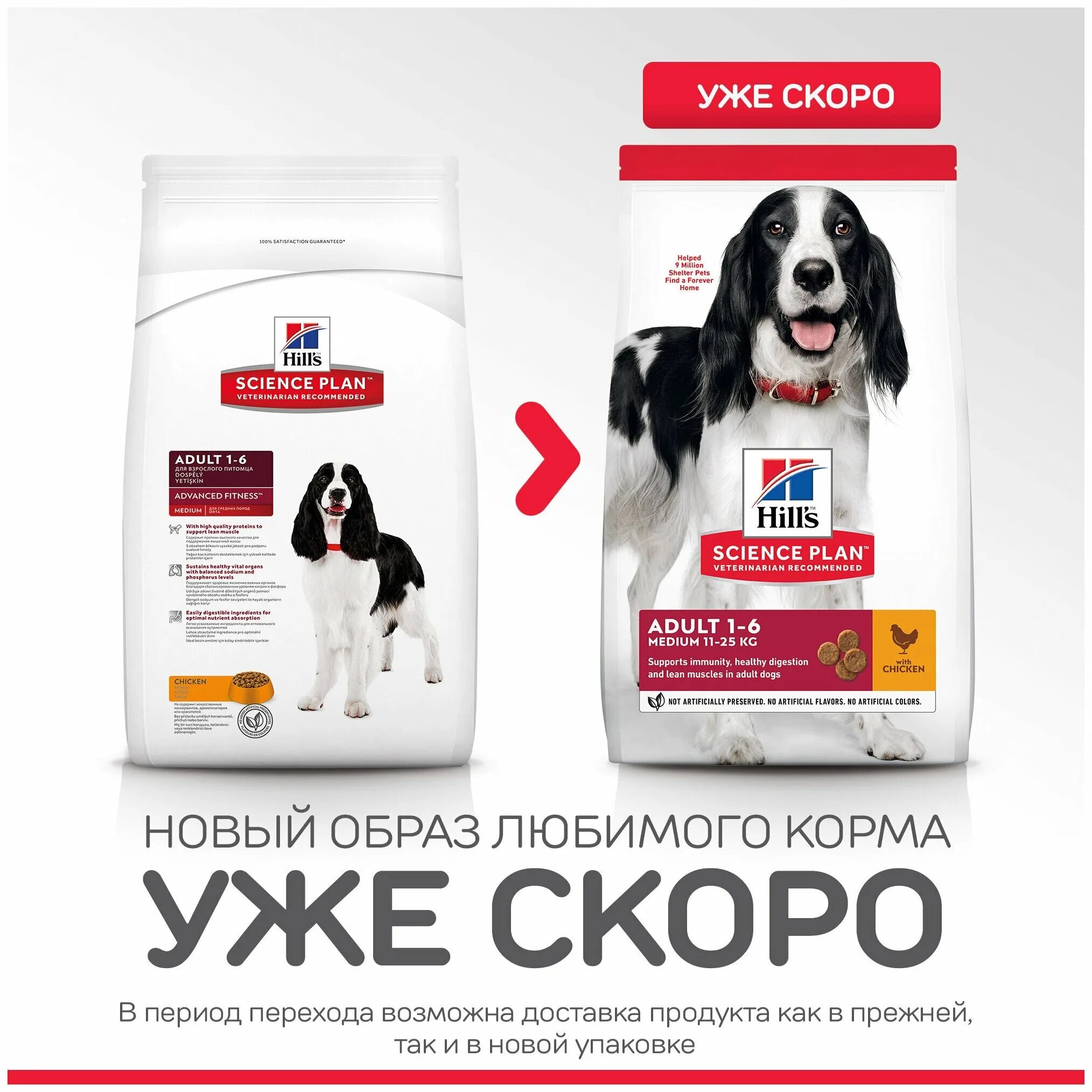 Хиллс 604734 adult small & mini сух. Корм хиллс для собак мелких пород 1,5 кг ягненок. Хиллс для собак средних пород ягненок. Хиллс с ягненком для хиллс для собак. Хиллс 7,5 кг для собак всех пород с ягненком и рисом /4459/.