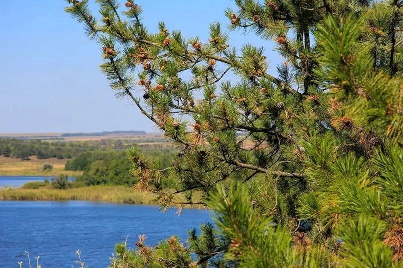 Юдино карьер озеро изумрудное. Московская область поселок юдино. Сухой несветай ростовская область. Хутор юдино родионово несветайский. Юдино ростовская область фото.