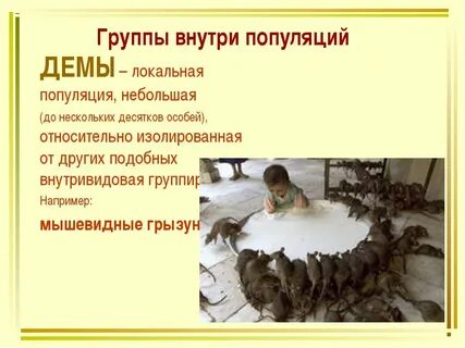 Общая популяция это