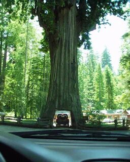 Drove places
