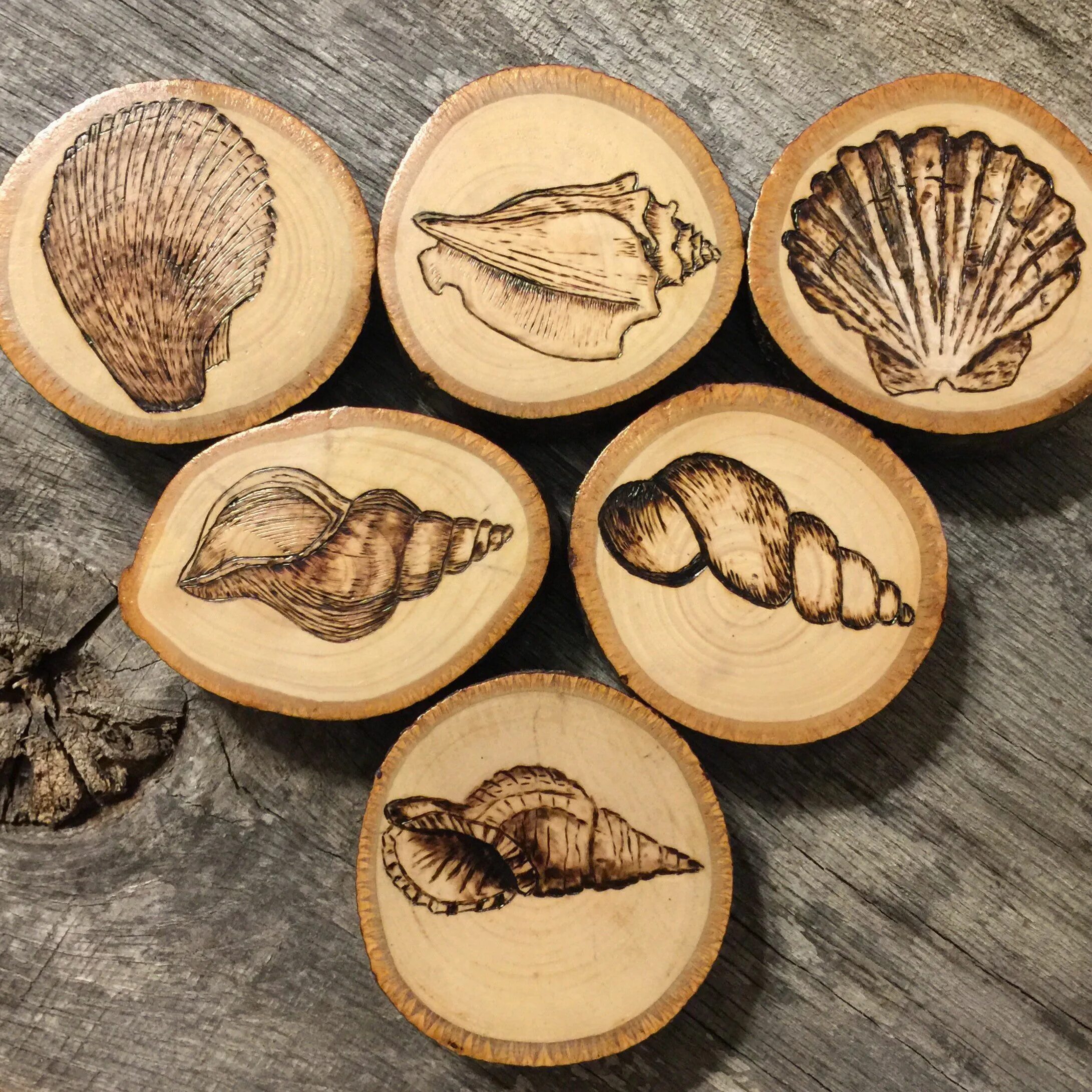 декоративное выжигание по дереву. выжигание на спилах дерева. выжигание на спиле дерева. выжигание на спилах дерева.