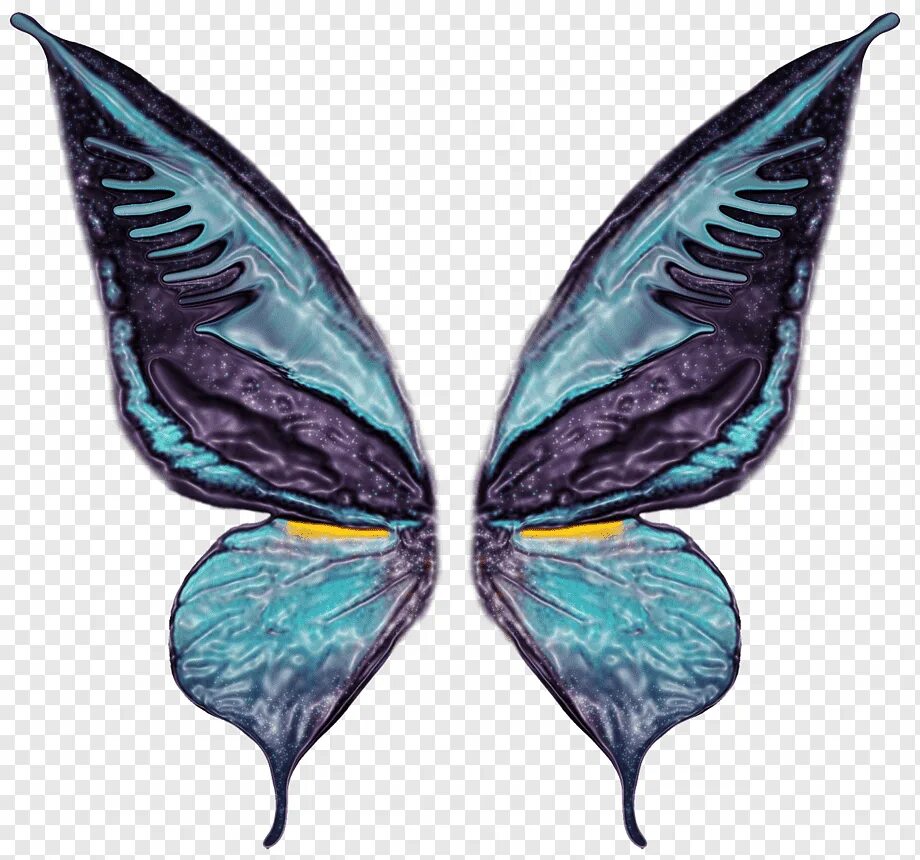 Простые крылья бабочки. Крылья бабочки. Крылья бабочки на прозрачном фоне. Красивые Крылья бабочки на прозрачном фоне. Крылышки бабочки.