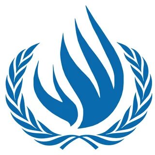 Оон международная защита