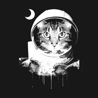 Кот космонавт