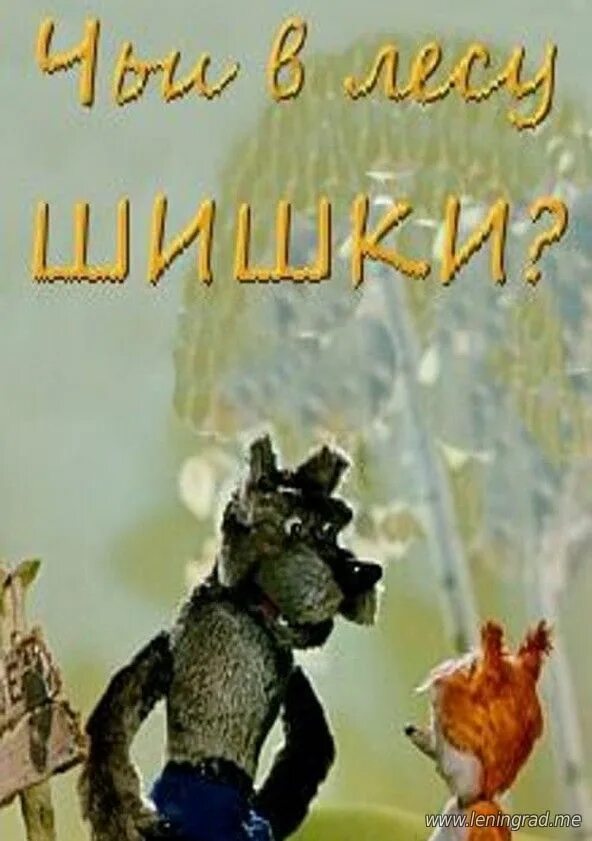 Широколиственный лес дубрава. Широколиственный лес тропа. Чьи в лесу шишки. Тропинка в лесу. Красивая природа лес.