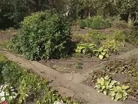 Снт заря 2 кузьминское. Снт заря липецк. Омск снт заря 2. Снт зори. Снт заря 2 липецк.