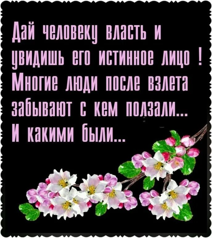 Не позабывшая ребячьих своих забав. Омар Хайям не вечны князи вечна грязь. Ты выбрался из грязи в князи. Ты выбрался из грязи в князи но быстро князем становясь не позабудь. Ты выбрался из грязи.