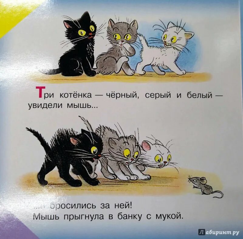 Три котёнка книга. Сутеев 3 котенка. Рассказ 3 котенка. Книга Сутеева три котенка. Три котенка слова