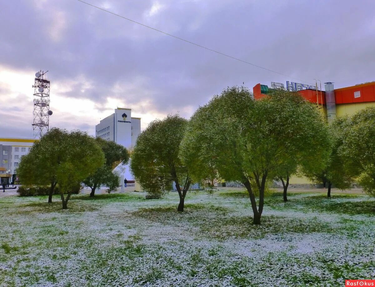 Снежком припорошило