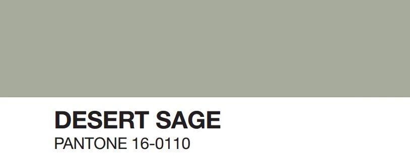 6 16 110. Sage цвет. Sage пантон. Pantone оттенки Sage. Цвет Desert Sage пантон.