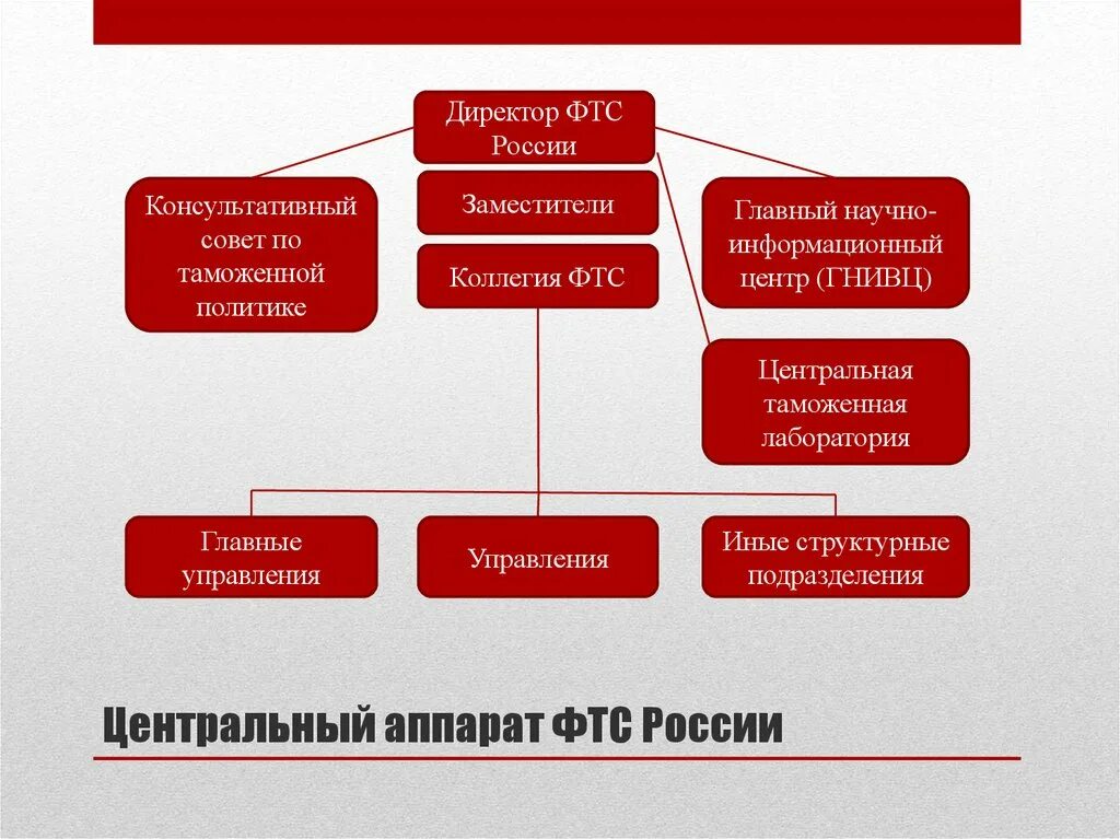 Аппаратов управления учреждениями. Структура Федеральной таможенной службы РФ. Центральный аппарат ФТС России. Схема центрального аппарата ФТС РФ.. Структура центрального аппарата ФТС.