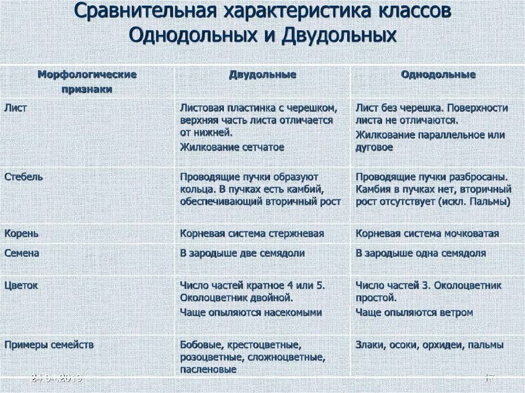 3 признака класса однодольные. Класс двудольные и Однодольные растения таблица. Характерные признаки двудольных и однодольных растений таблица. Однодольные и двудольные таблица сравнения. Классы однодольных и двудольных растений таблица.