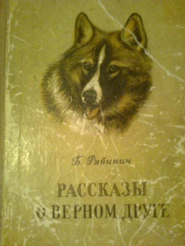 Произведение верный друг. Рябинин писатель произведения. Книги Бориса Рябинина.