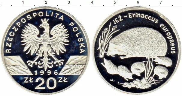 20 Злотых. Польша. 1996. 500 Тугриков монета еж. 20 Злотых в тенге. 20 Zlotych в рублях. 20 злотых в рублях