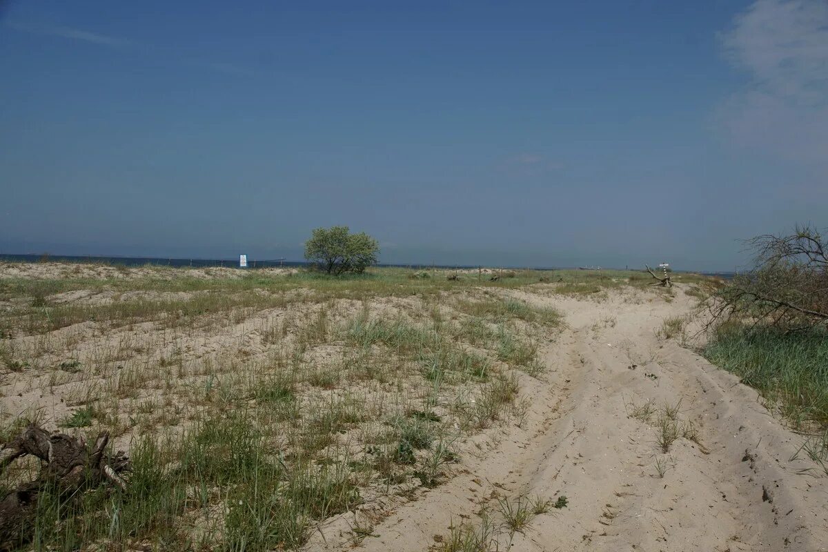 Село Рыбальче Украина Херсонская область. Маяк Кинбурнская коса. Кинбурнская коса Покровка. Кинбурнская коса Херсонская область. Васильевка херсонская область