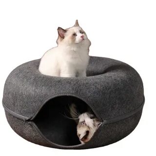 Почему кошки круглые