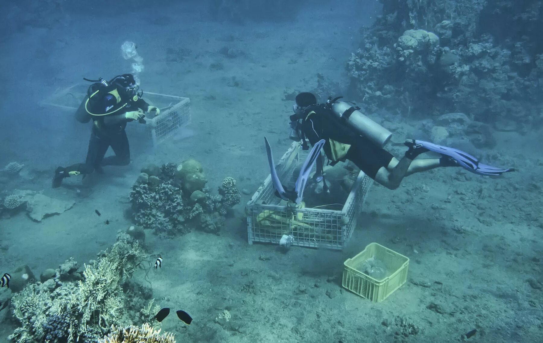 голубая дыра дахаб кладбище дайверов. голубая дыра кладбище дайверов. подводное кладбище людей. кладбище дайверов. голубая дыра дайвинг.
