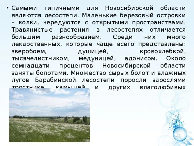 Чем известен регион новосибирской области. Особенности природы Новосибирской области. Растительный мир Новосибирской области. Природа родного края Новосибирская область. Природа Новосибирской области презентация.