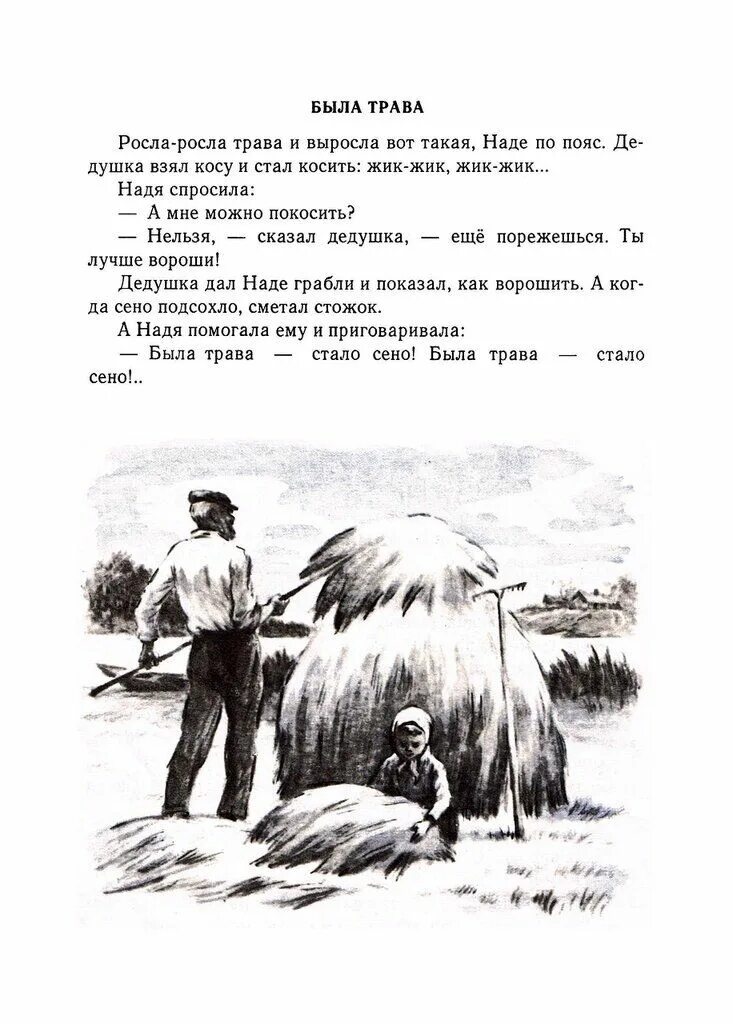 Послушный дождик я.Тайц иллюстрации. Тайц послушный дождик книга. Рассказ я тайца послушный дождик.