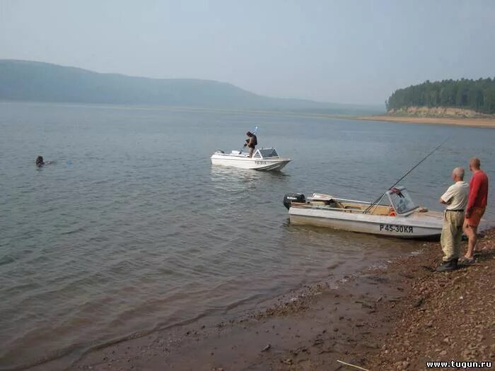 форум квх. залив шумиха красноярск. форум квх. флора красноярское водохранилище. залив шумиха 2.