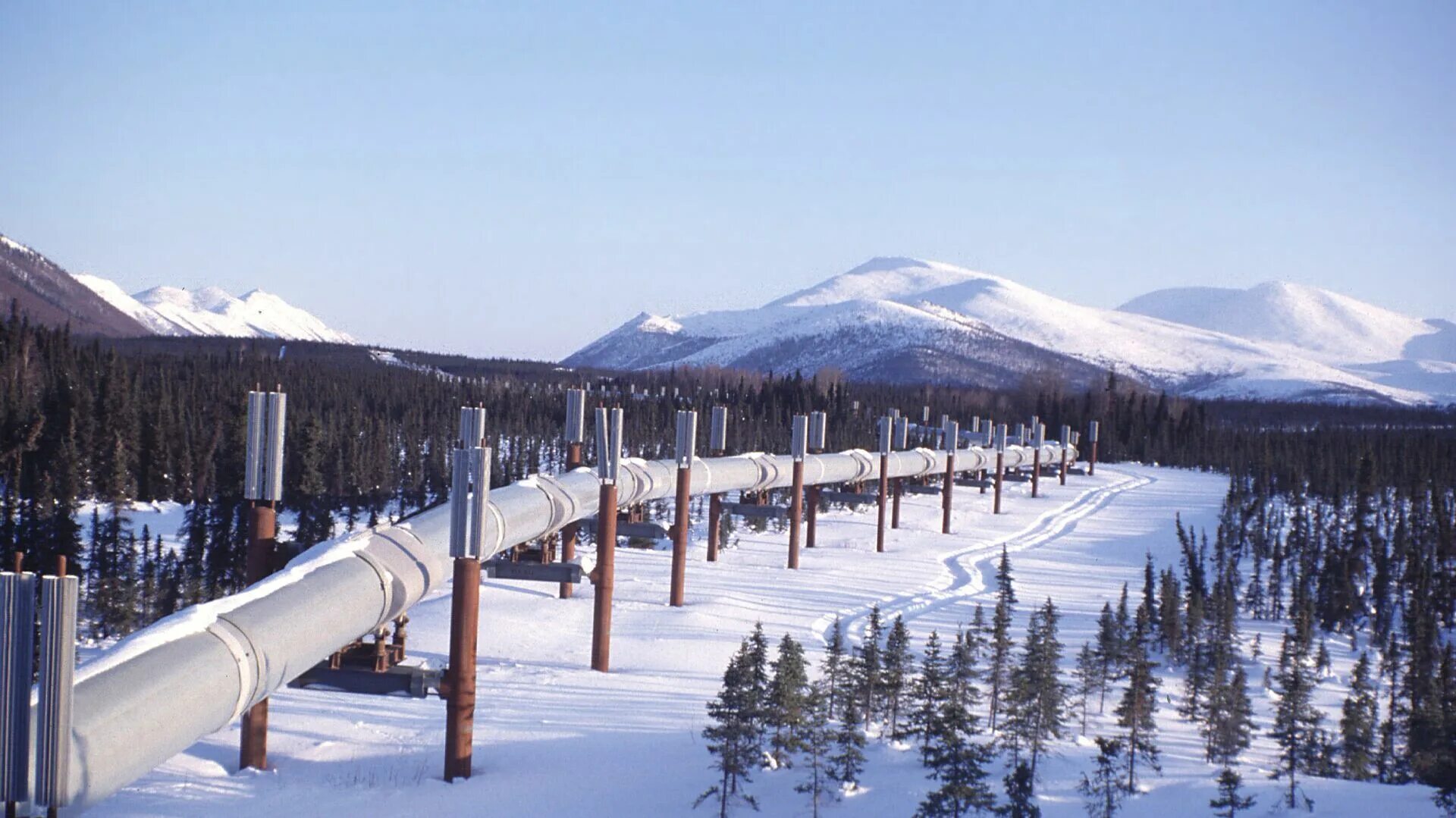 Трансаляскинский нефтепровод Аляска. Трубопровод Аляска США. Штат Аляска промышленность. Штат Аляска хозяйство. Аляска полезные