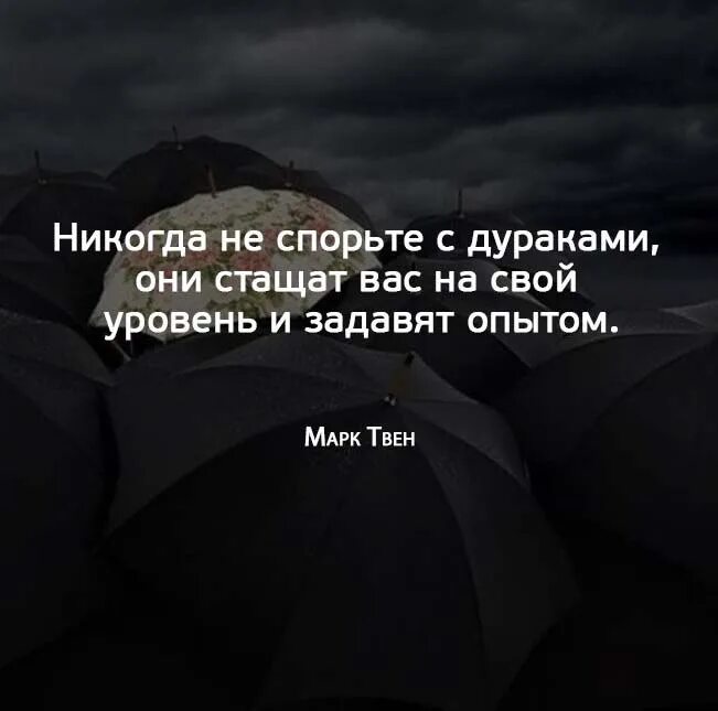 С дураками не спорят цитаты. Не спорьте с дураками они задавят вас опытом. Спорить с дураком задавит опытом. Спорить цитаты.